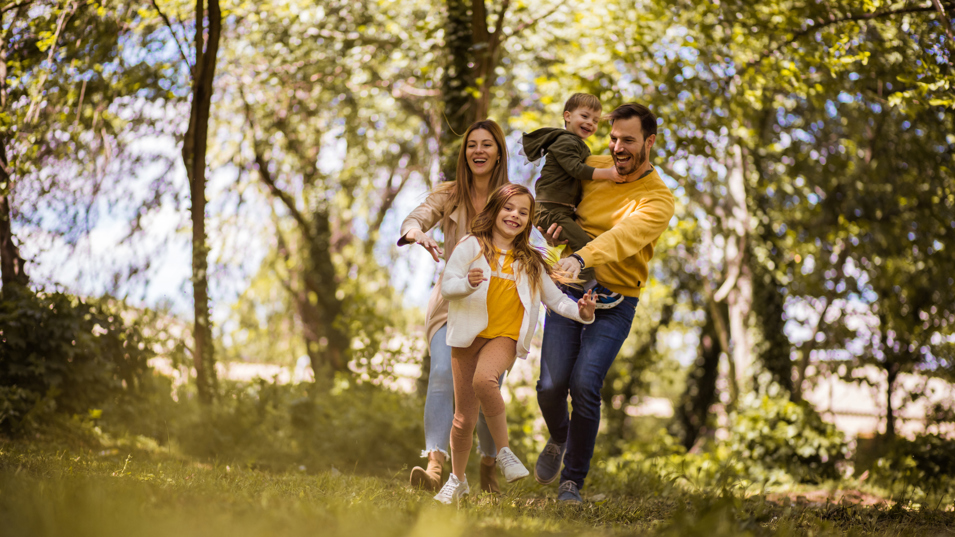 Familie sammen i skoven