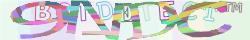 Skriv tegnene du ser i CAPTCHA billedet
